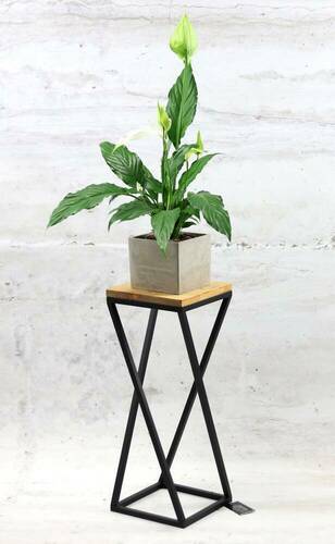 Sprawdź Kwietnik metalowy JAKPOL TAVOLO 60 cm czarny mat loft stojak na rośliny