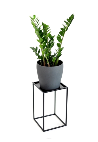Sprawdź Kwietnik metalowy stojący JAKPOL LOFT na 1 donicę 40 cm czarny