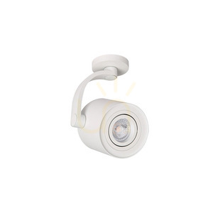 Downlight Azzardo BROSS ARM small 1