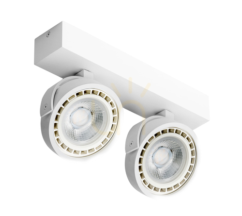 Sprawdź Downlight Azzardo JERRY 2 230V