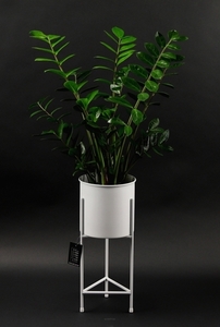 Kwietnik metalowy z donicą JAKPOL FIORI 50 cm, biały small 2