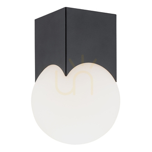 Plafon ARGON AUSTIN opal mat czarny mat 4713 small 0