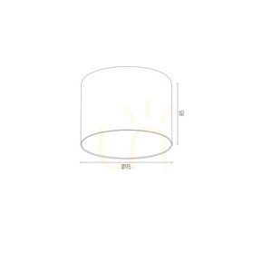Plafon Argon Clevland biały struktura 4692 BZ small 2