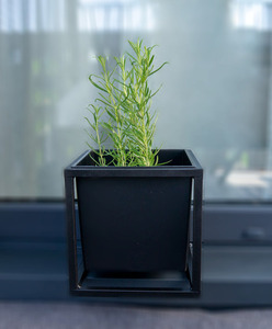 Kwietnik metalowy JAKPOL loft czarny mat 20x20 cm na 3 rośliny small 5