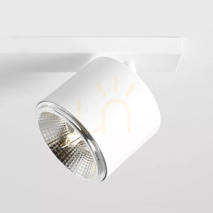 Plafon Aldex Bot 2 White 2xGU10-AR111 1046PL_H small 1