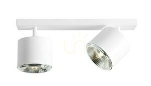 Plafon Aldex Bot 2 White 2xGU10-AR111 1046PL_H small 0