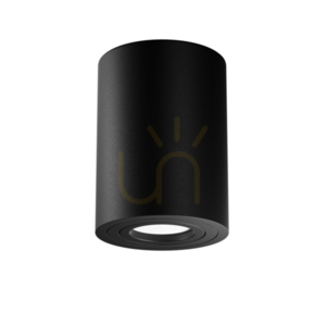 Plafon ATOM C016CL-01B Maytoni small 1