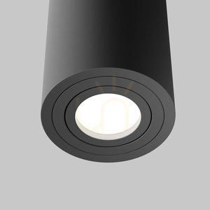 Plafon ATOM C016CL-01B Maytoni small 2