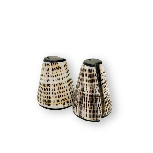 Sprawdź Salt and Peppa Shell Set  - Set of 2