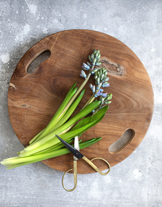 Teak Root Tray - Natural - L 2 Teak Root Tray - Natural - L small 2