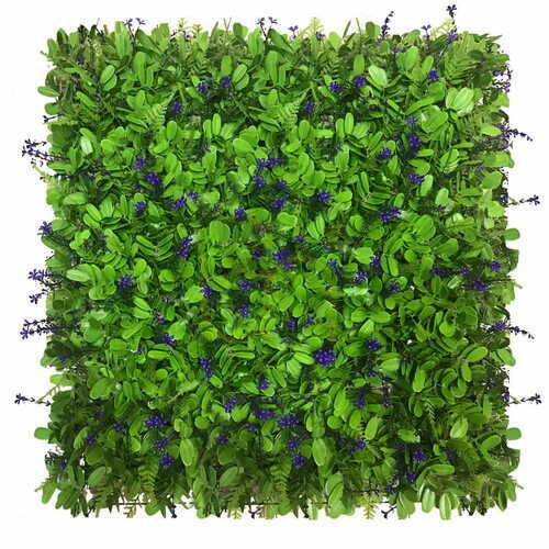 Sprawdź Zielona Ściana Niezapominajka 50x50cm
