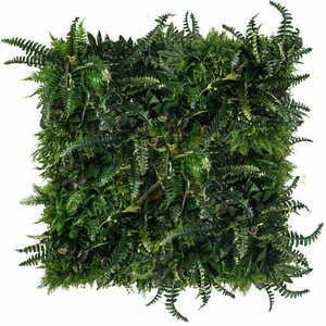Ogród wertykalny Rainforest small 1