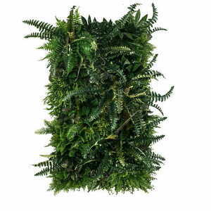 Ogród wertykalny Rainforest small 0