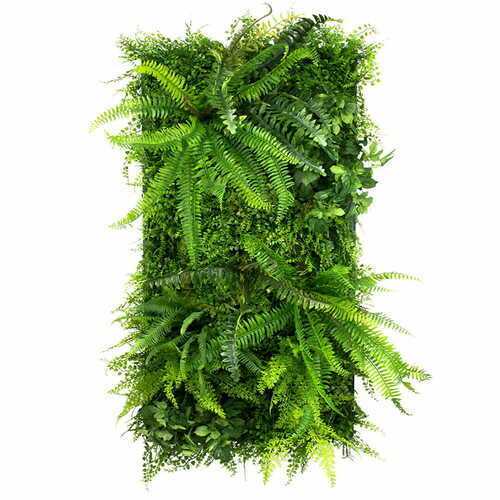 Sprawdź Ogród wertykalny Wild Fern