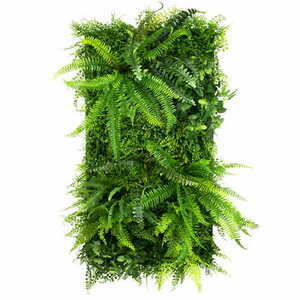 Ogród wertykalny Wild Fern small 0