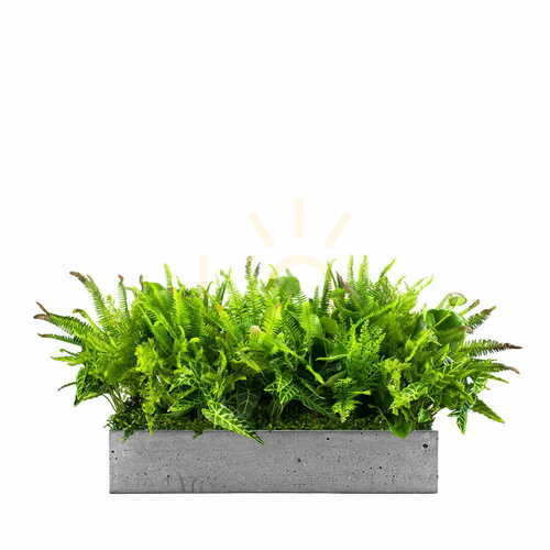 Sprawdź Wkład do donicy Green Designers Nature Pride 25 × 50 cm – sztuczna kompozycja