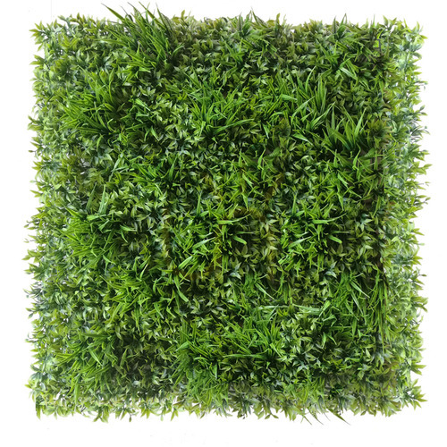Sprawdź Zielona Ściana Ruskus 50x50cm