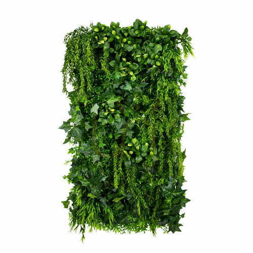 Sprawdź Ogród wertykalny Green Ivy