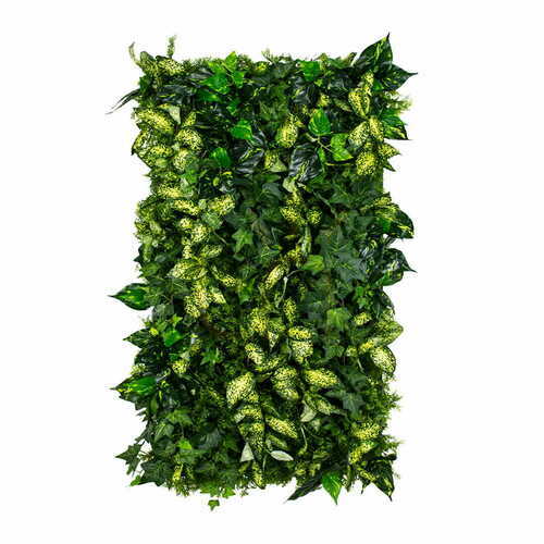 Sprawdź Ogród wertykalny Grown Ivy