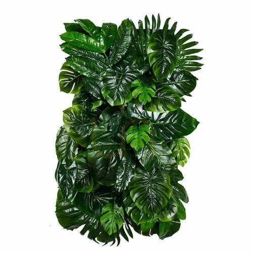 Sprawdź Ogród wertykalny Monstera Madness