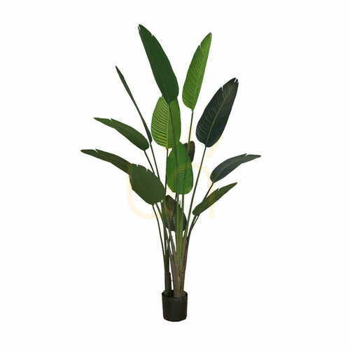 Sprawdź Sztuczna Roślina doniczkowa Strelicja 220cm