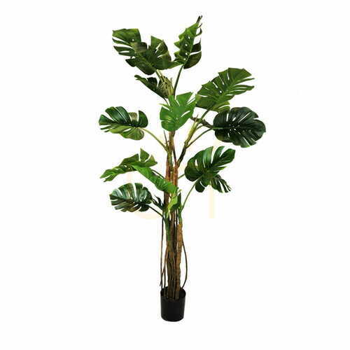 Sprawdź Sztuczna Roślina doniczkowa Monstera 210cm