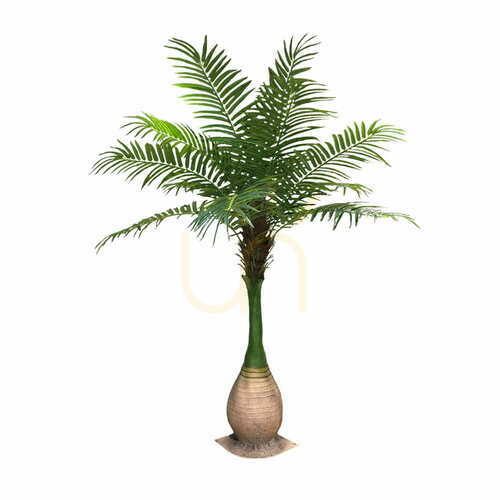 Sprawdź Sztuczna Palma Dypsis Areka 250cm