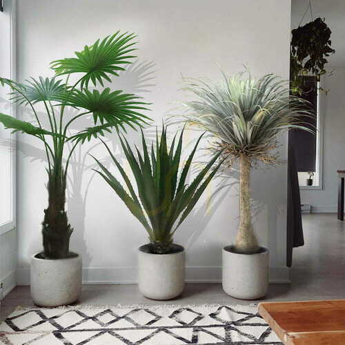 Sprawdź Sztuczna palma w doniczce Washingtonia Robusta 140cm