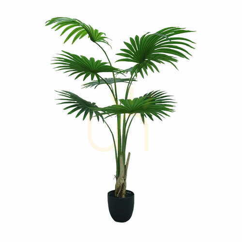 Sprawdź Sztuczna Roślina doniczkowa Washingtonia Robusta 160cm