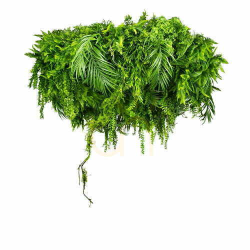 Sprawdź Sufit podwieszany Green Sway 100cm
