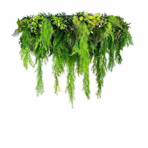 Sprawdź Sufit ze sztucznych Roślin Violet Pinch 100cm