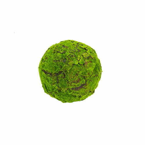 Sprawdź Dekoracyjna kula z mchu Moss Ball 25 cm