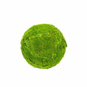 Kula z mchu Moss Ball 35 cm small 0