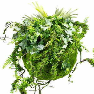 Dekoracyjna kula Roślinna Moss Ball 45 cm small 1