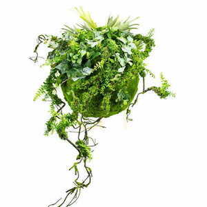 Dekoracyjna kula Roślinna Moss Ball 45 cm small 0