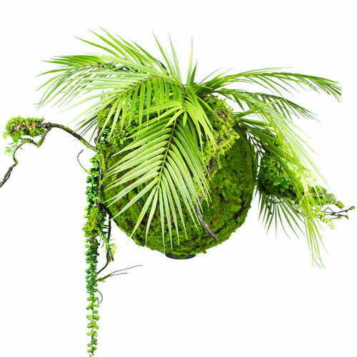 Sprawdź Dekoracyjna kula ze sztucznej zielen Moss Ball 35 cm