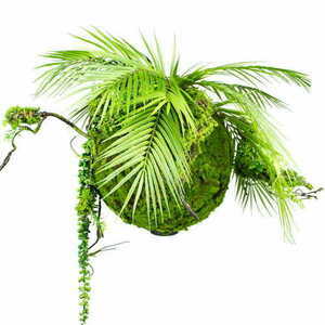 Dekoracyjna kula ze sztucznej zielen Moss Ball 35 cm small 0