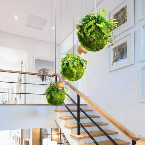 Sprawdź Kokedama z mchu Moss Ball 25 cm