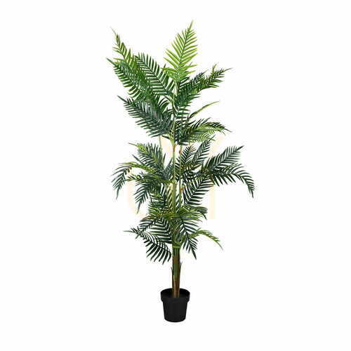 Sprawdź Roślina dekoracyjna Palma Lutescens 180cm
