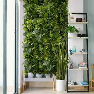 Ogród wertykalny Tropical Freshness 3 Ogród wertykalny Tropical Freshness small 3