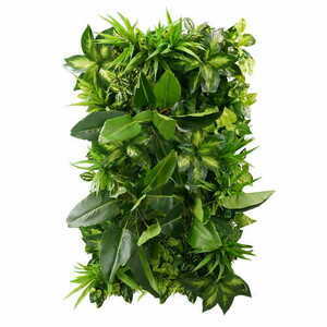 Ogród wertykalny Tropical Freshness 0 Ogród wertykalny Tropical Freshness small 0