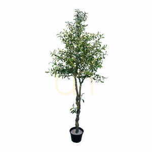 Sztuczne 🌳 drzewo 🌳 oliwne OLIWKA 210cm - Premium small 0