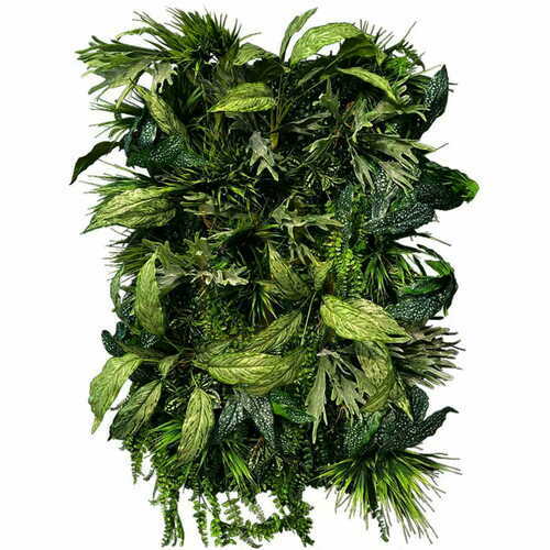 Sprawdź Ogród wertykalny Flora Twist