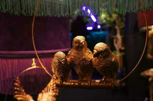 FIGURE M N°1 Las Plumas 2 FIGURE M N°1 Las Plumas small 2