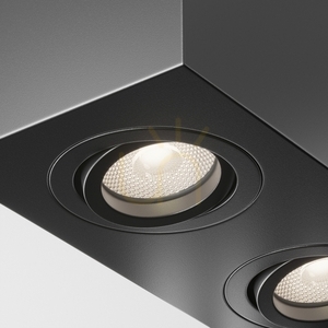 Plafon ATOM C017CL-02B Maytoni small 2