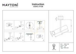 Plafon ELTI C020CL-01GB Maytoni small 5