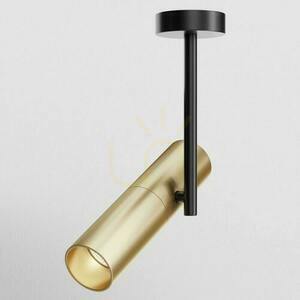 Plafon ELTI C020CL-01GB Maytoni small 0