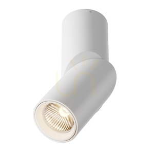 Plafon DAFNE C027CL-L10W Maytoni small 1