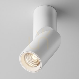 Plafon DAFNE C027CL-L10W Maytoni small 0