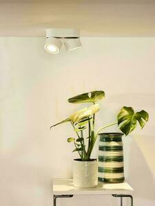 Downlight Lucide Yumiko biały LED 2x10W 2700K 1268lm 35911/16/31 small 2